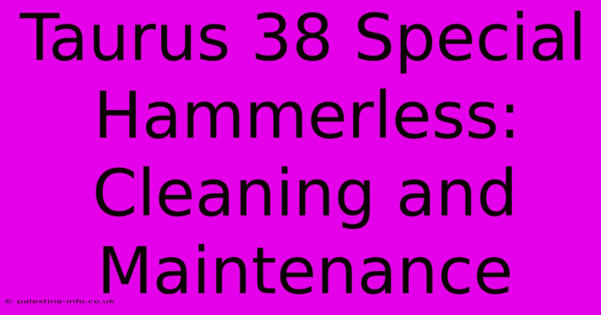 Taurus 38 Special Hammerless: Cleaning And Maintenance