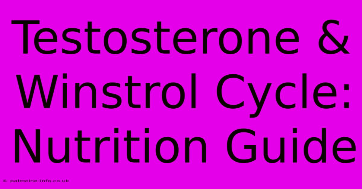 Testosterone & Winstrol Cycle: Nutrition Guide