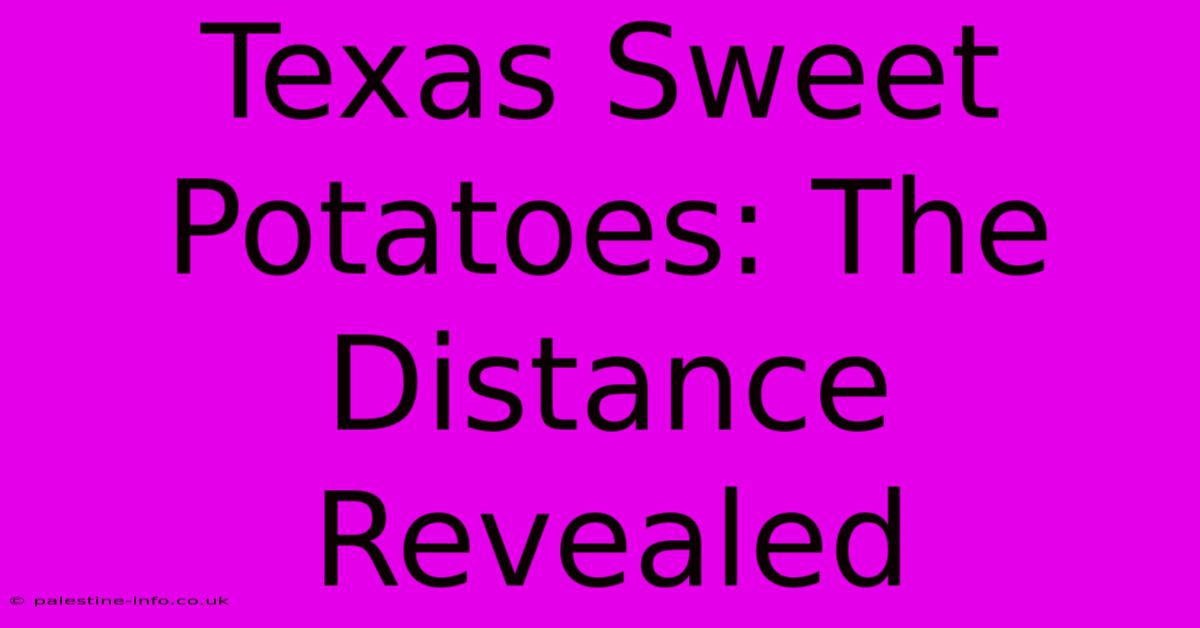 Texas Sweet Potatoes: The Distance Revealed