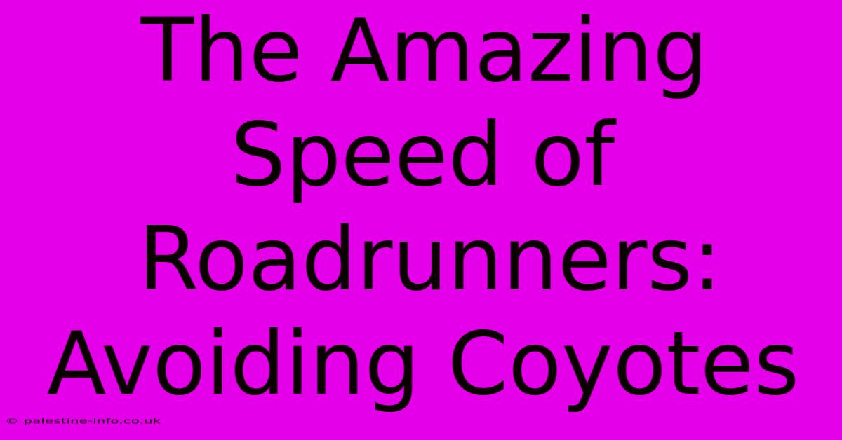 The Amazing Speed Of Roadrunners: Avoiding Coyotes