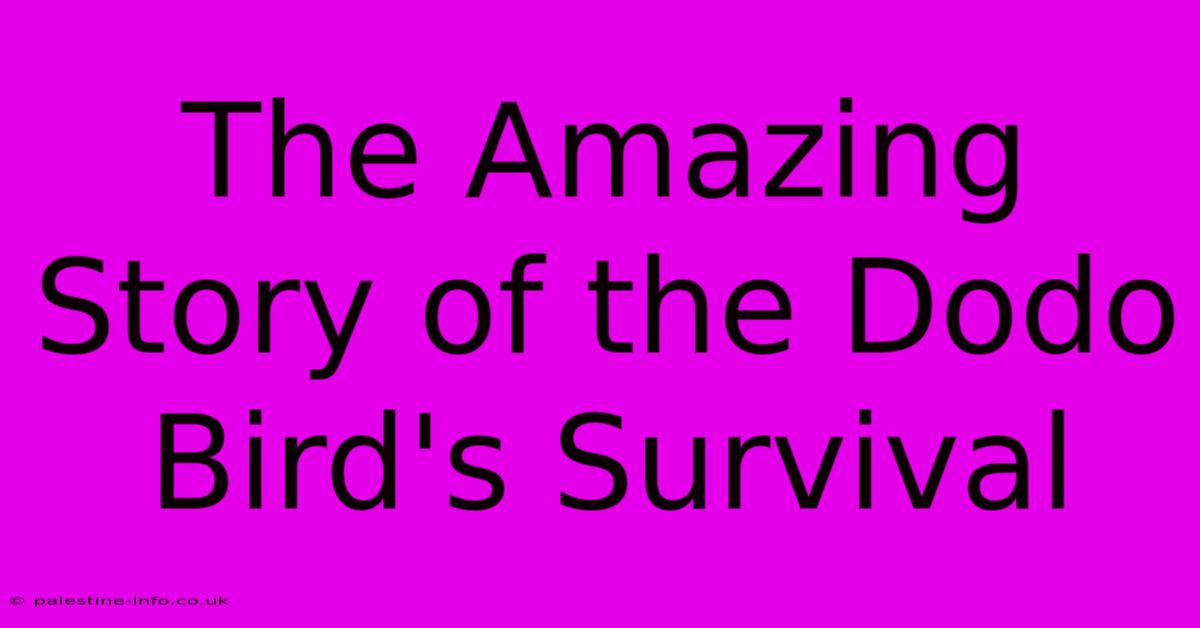 The Amazing Story Of The Dodo Bird's Survival