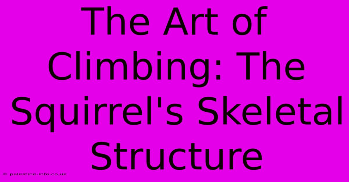 The Art Of Climbing: The Squirrel's Skeletal Structure