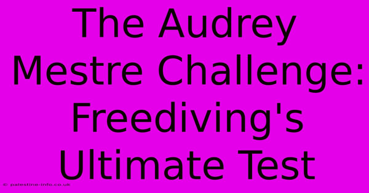 The Audrey Mestre Challenge: Freediving's Ultimate Test