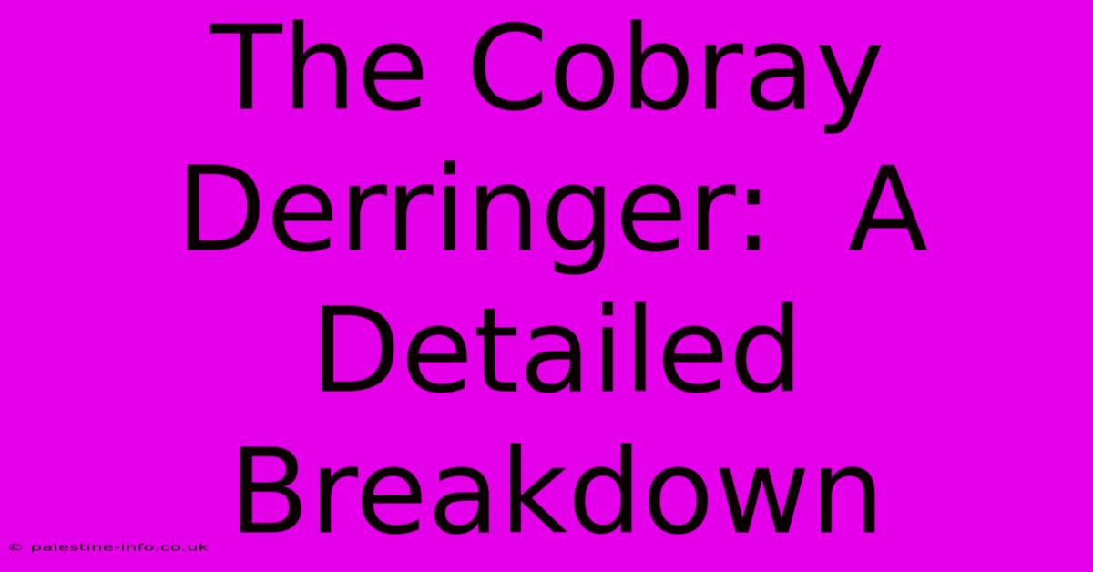 The Cobray Derringer:  A Detailed Breakdown