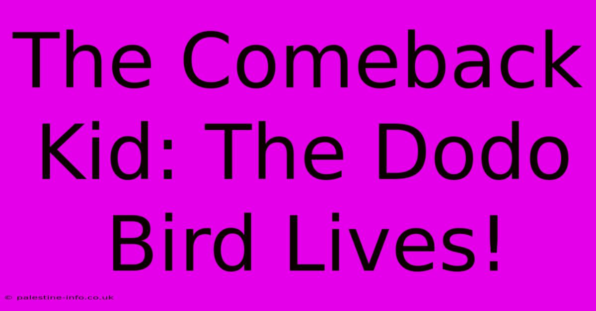 The Comeback Kid: The Dodo Bird Lives!