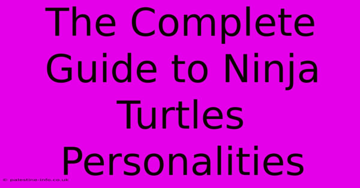 The Complete Guide To Ninja Turtles Personalities