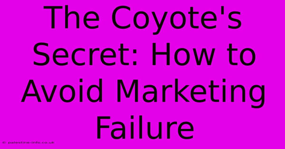 The Coyote's Secret: How To Avoid Marketing Failure