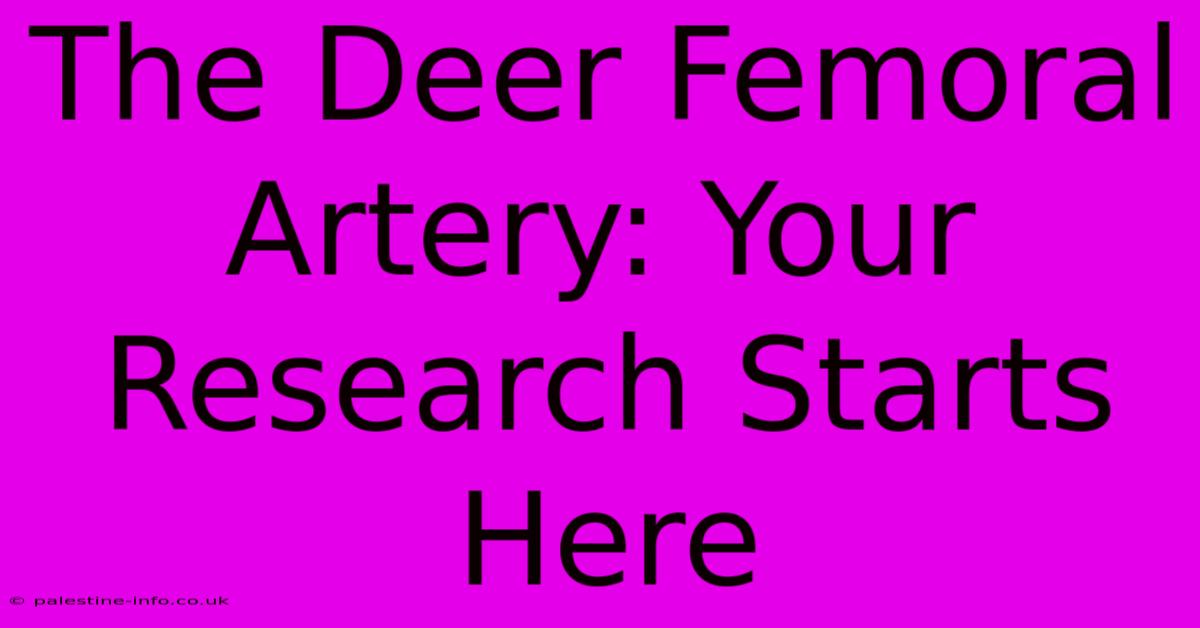 The Deer Femoral Artery: Your Research Starts Here