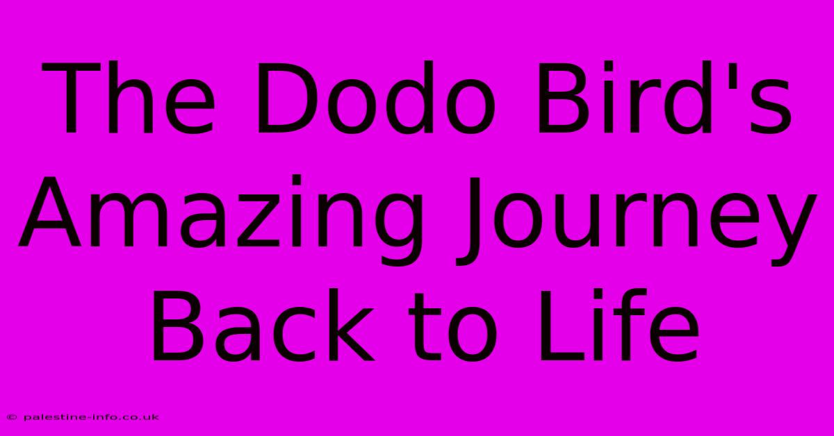 The Dodo Bird's Amazing Journey Back To Life