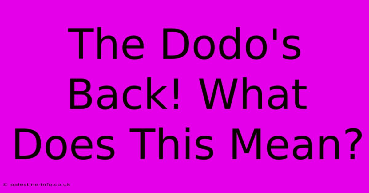 The Dodo's Back! What Does This Mean?