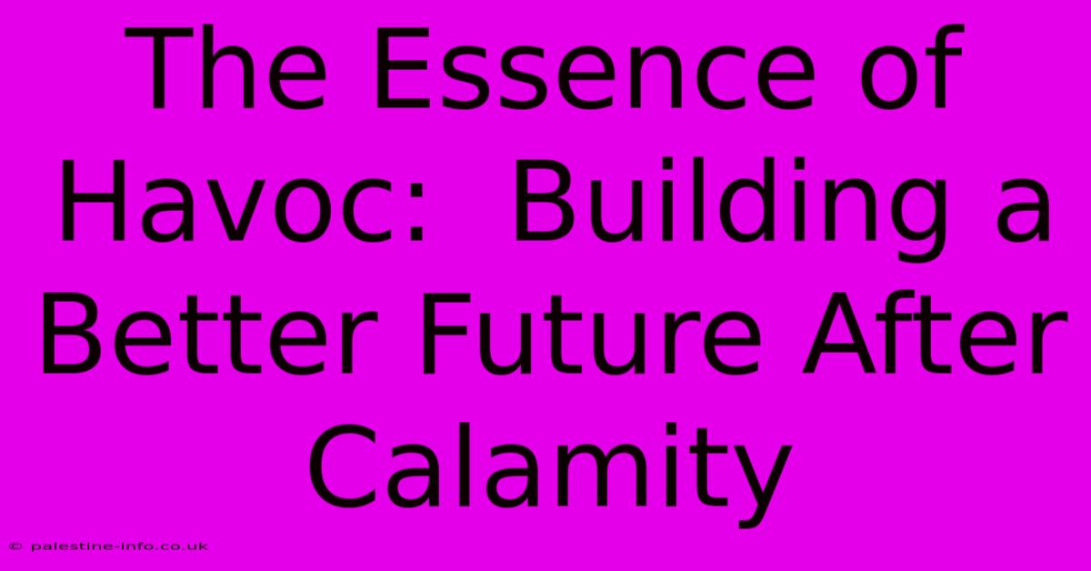 The Essence Of Havoc:  Building A Better Future After Calamity