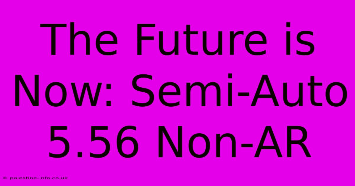 The Future Is Now: Semi-Auto 5.56 Non-AR