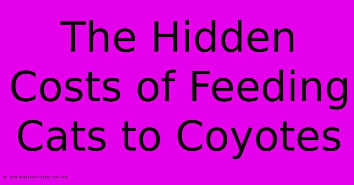 The Hidden Costs Of Feeding Cats To Coyotes