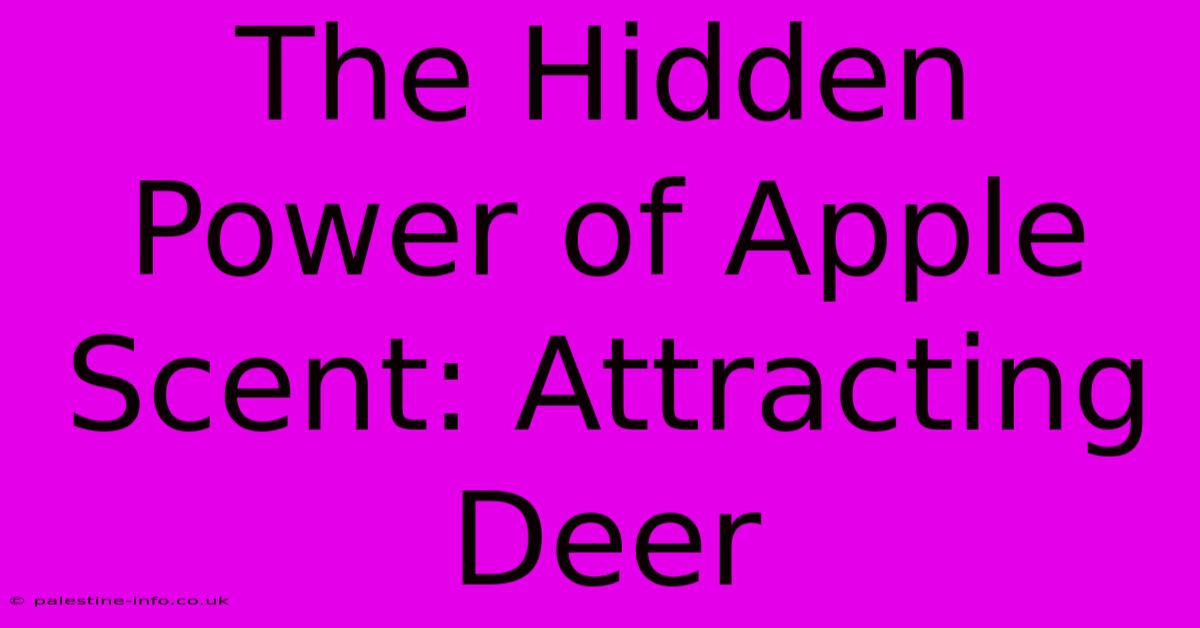 The Hidden Power Of Apple Scent: Attracting Deer