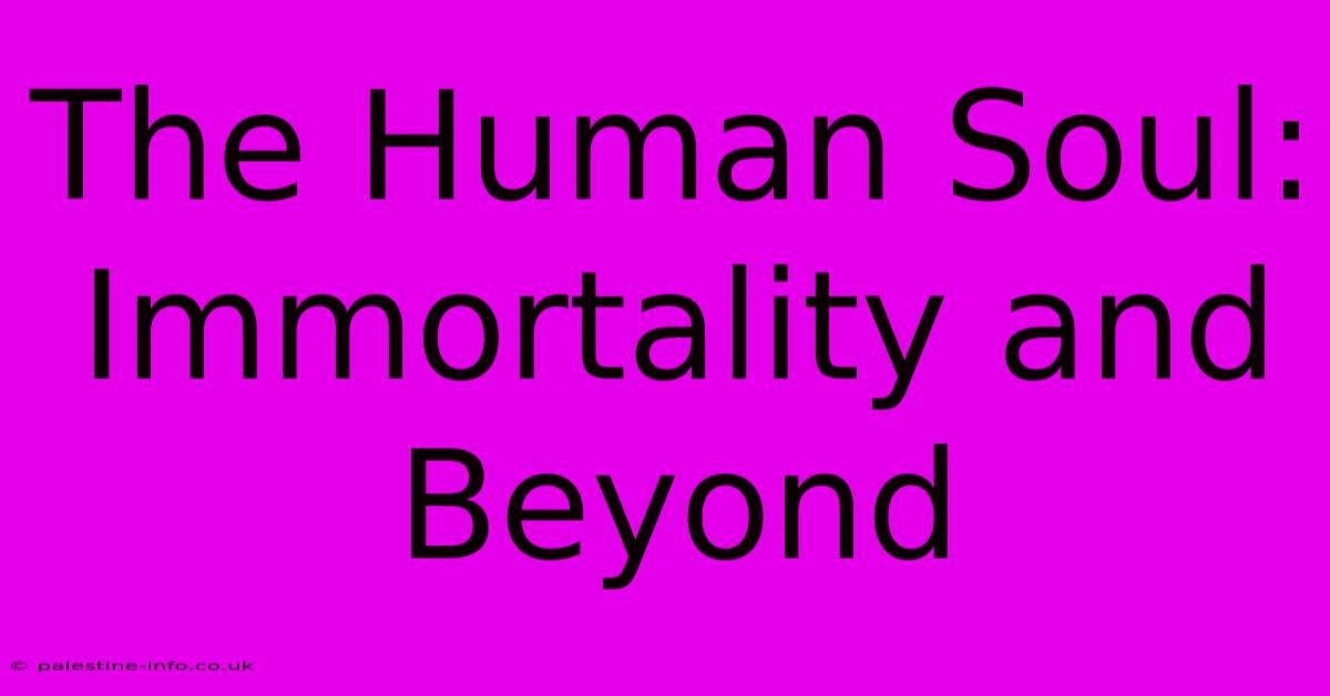 The Human Soul:  Immortality And Beyond