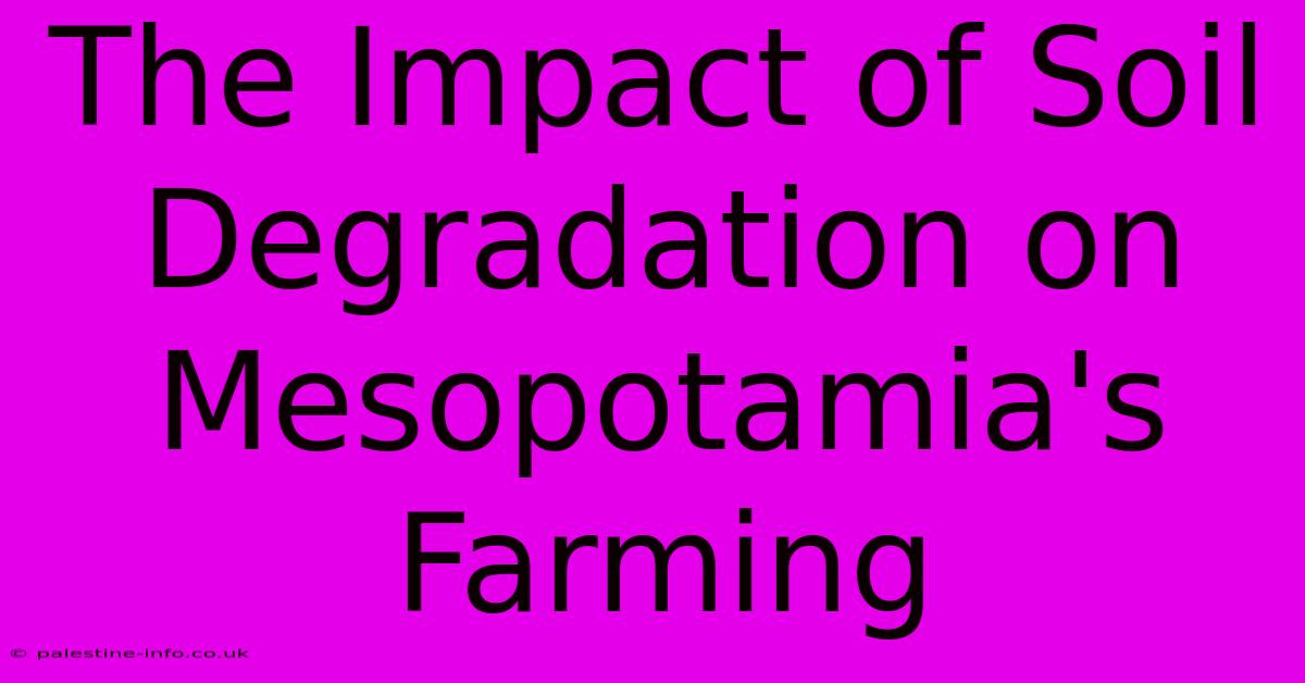 The Impact Of Soil Degradation On Mesopotamia's Farming