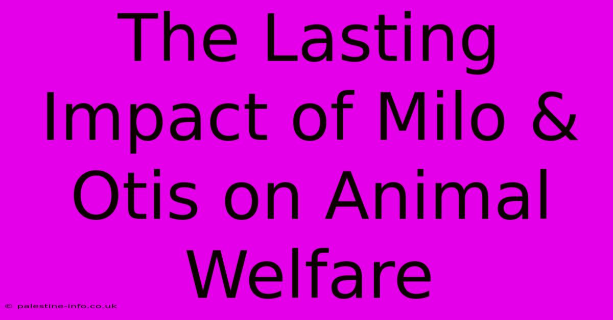 The Lasting Impact Of Milo & Otis On Animal Welfare