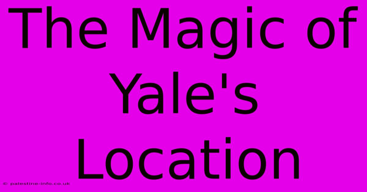 The Magic Of Yale's Location