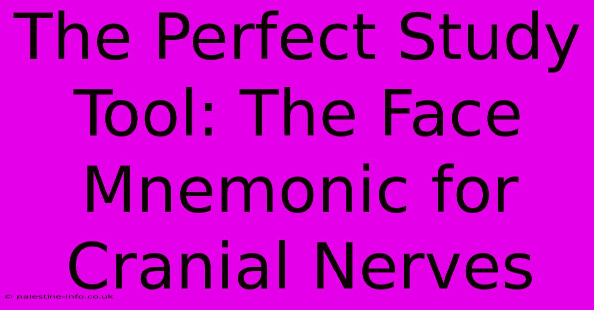 The Perfect Study Tool: The Face Mnemonic For Cranial Nerves