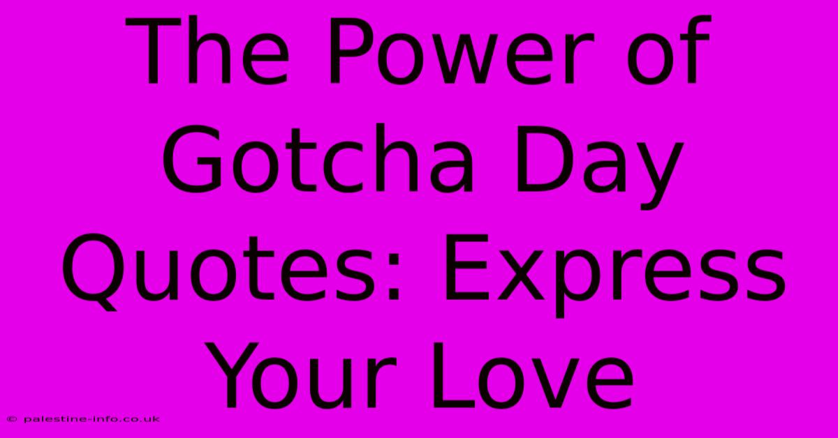 The Power Of Gotcha Day Quotes: Express Your Love