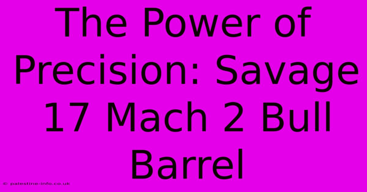 The Power Of Precision: Savage 17 Mach 2 Bull Barrel