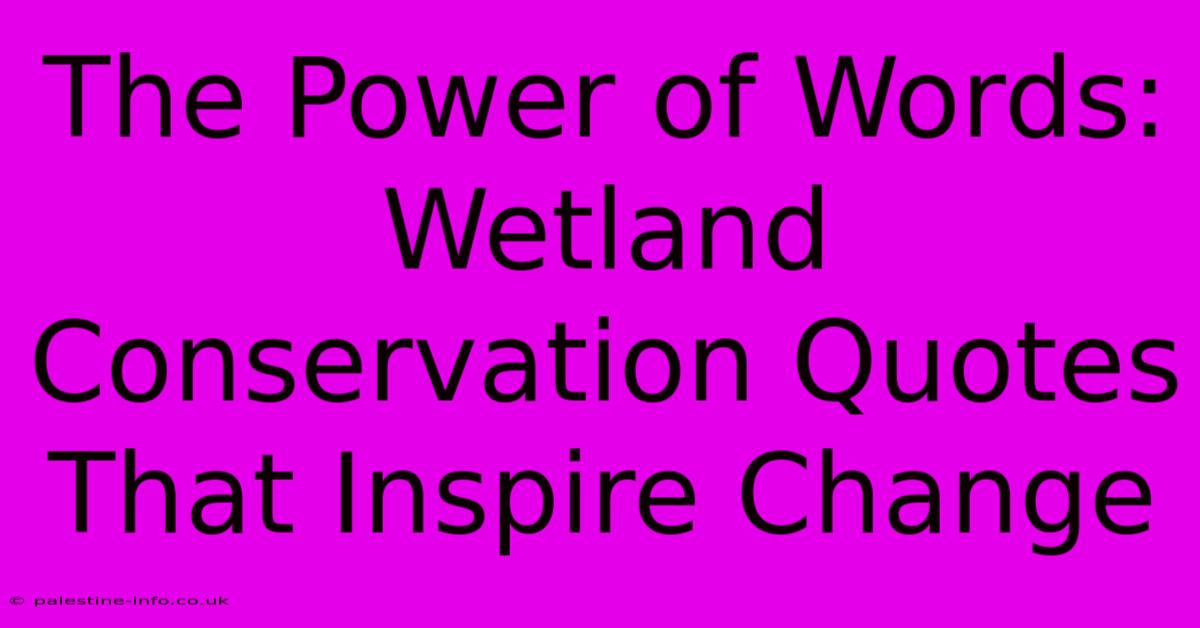 The Power Of Words: Wetland Conservation Quotes That Inspire Change