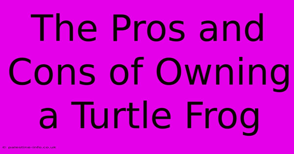 The Pros And Cons Of Owning A Turtle Frog