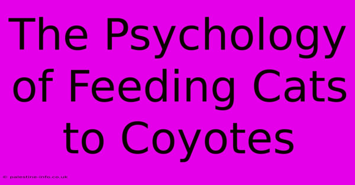 The Psychology Of Feeding Cats To Coyotes