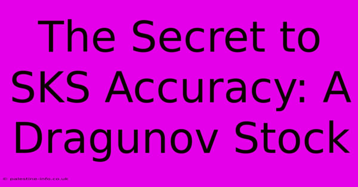 The Secret To SKS Accuracy: A Dragunov Stock