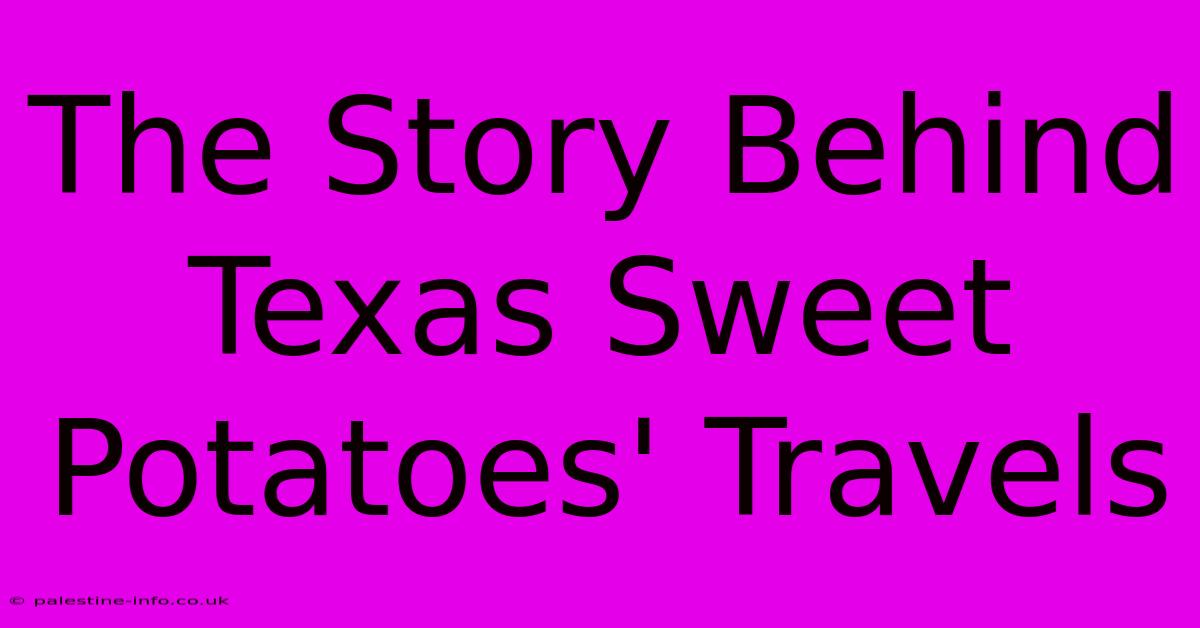 The Story Behind Texas Sweet Potatoes' Travels