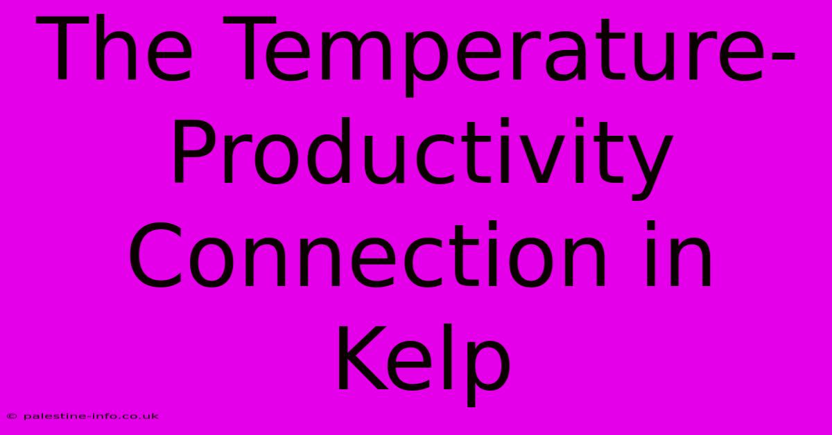 The Temperature-Productivity Connection In Kelp