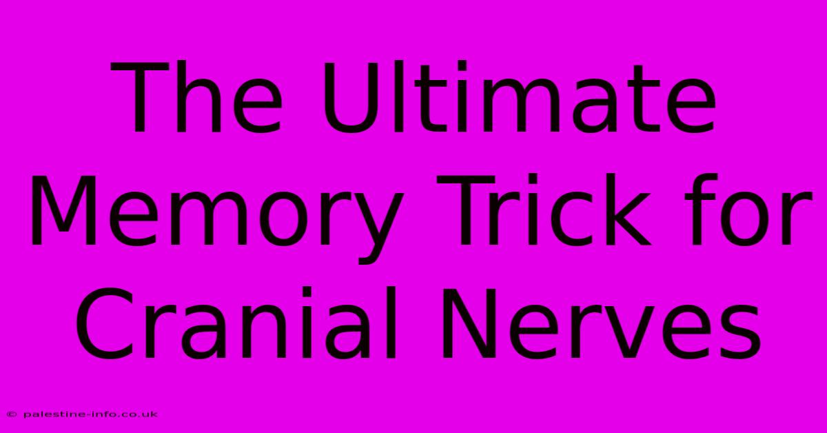 The Ultimate Memory Trick For Cranial Nerves