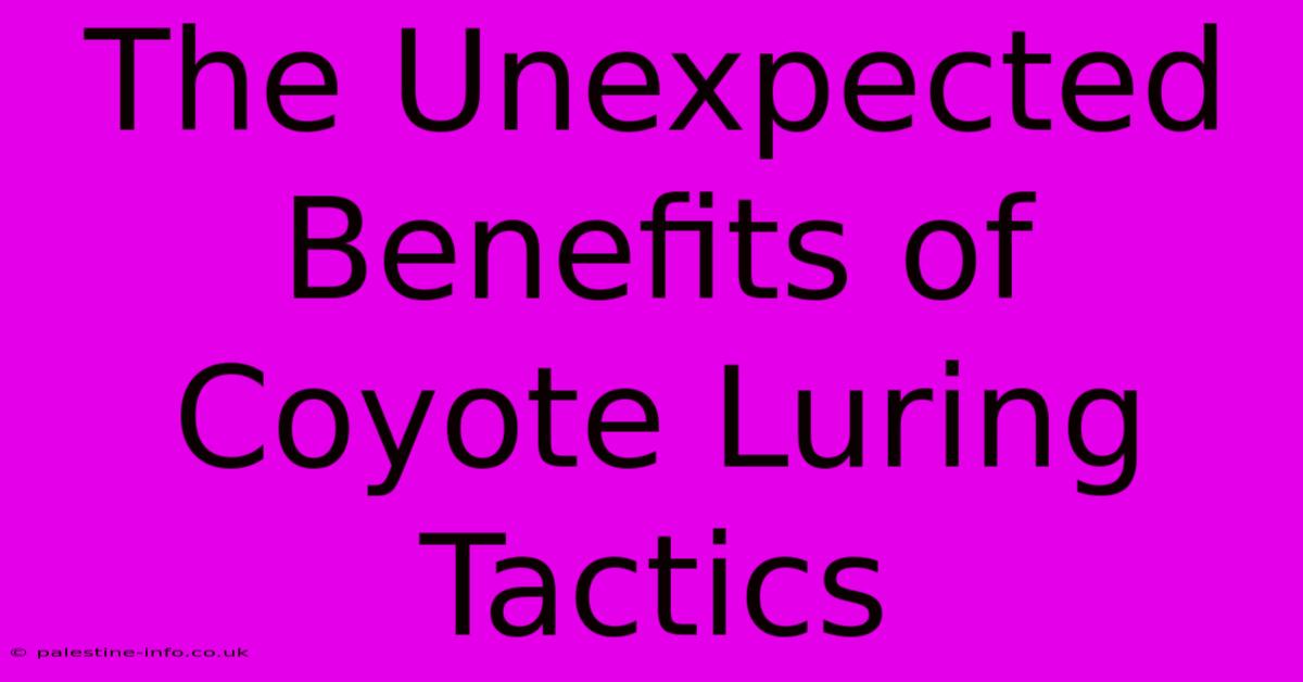 The Unexpected Benefits Of Coyote Luring Tactics