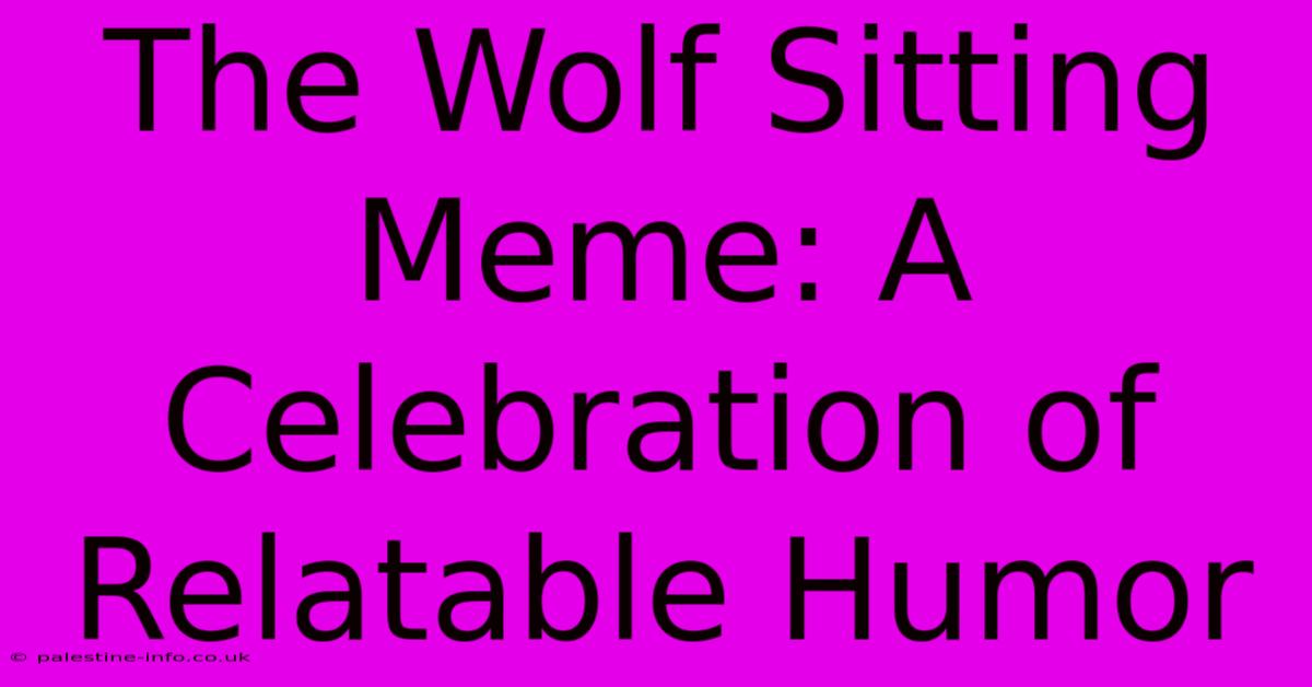 The Wolf Sitting Meme: A Celebration Of Relatable Humor