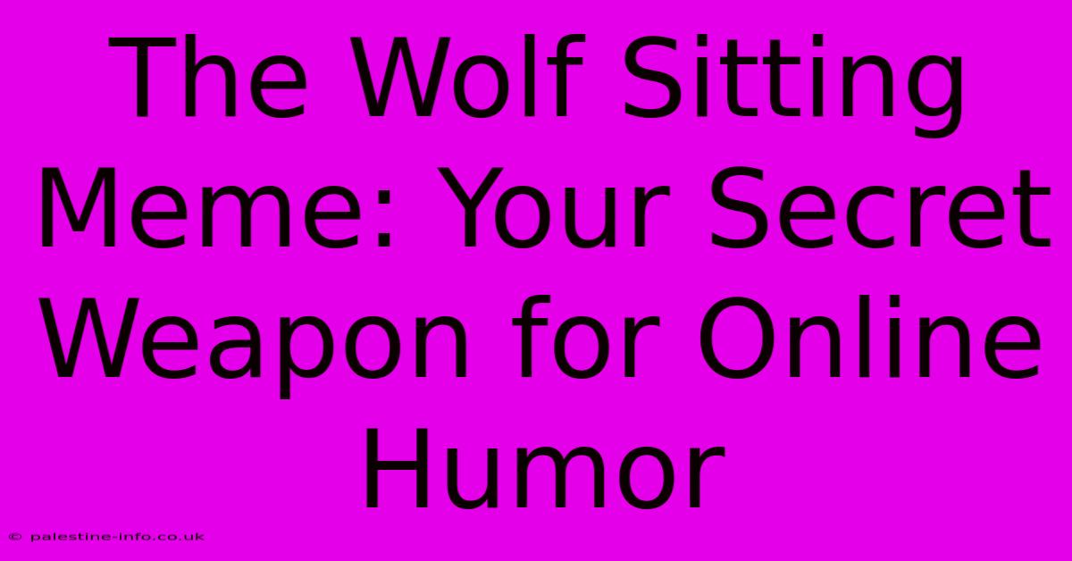 The Wolf Sitting Meme: Your Secret Weapon For Online Humor