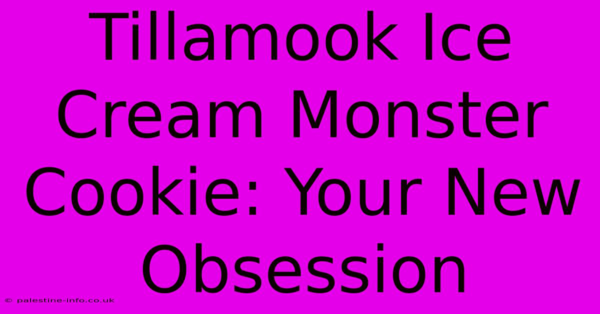 Tillamook Ice Cream Monster Cookie: Your New Obsession