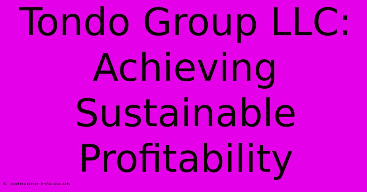 Tondo Group LLC:  Achieving Sustainable Profitability