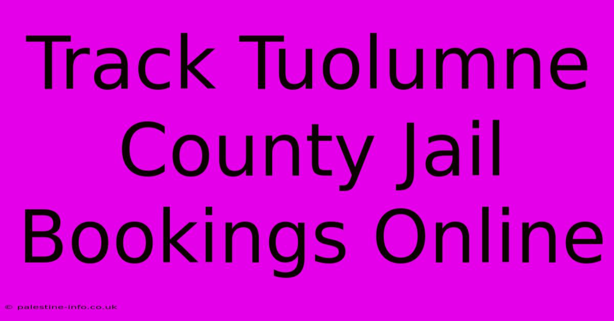 Track Tuolumne County Jail Bookings Online