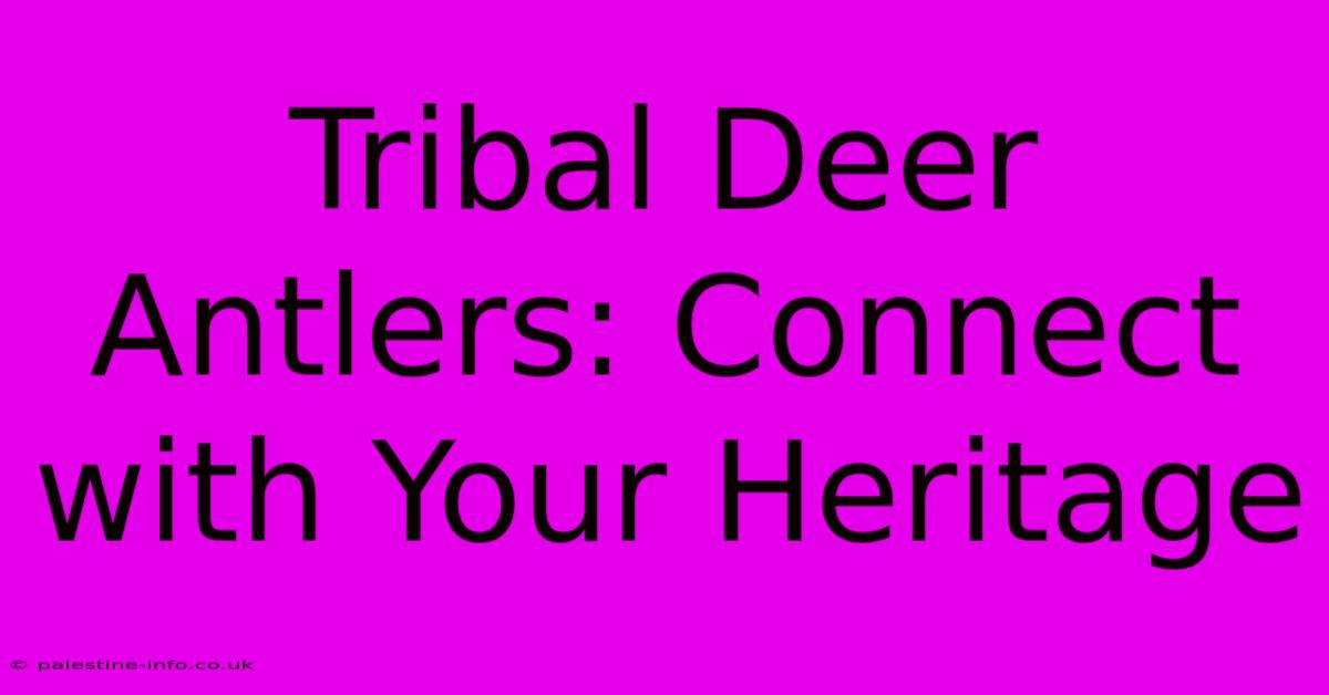 Tribal Deer Antlers: Connect With Your Heritage