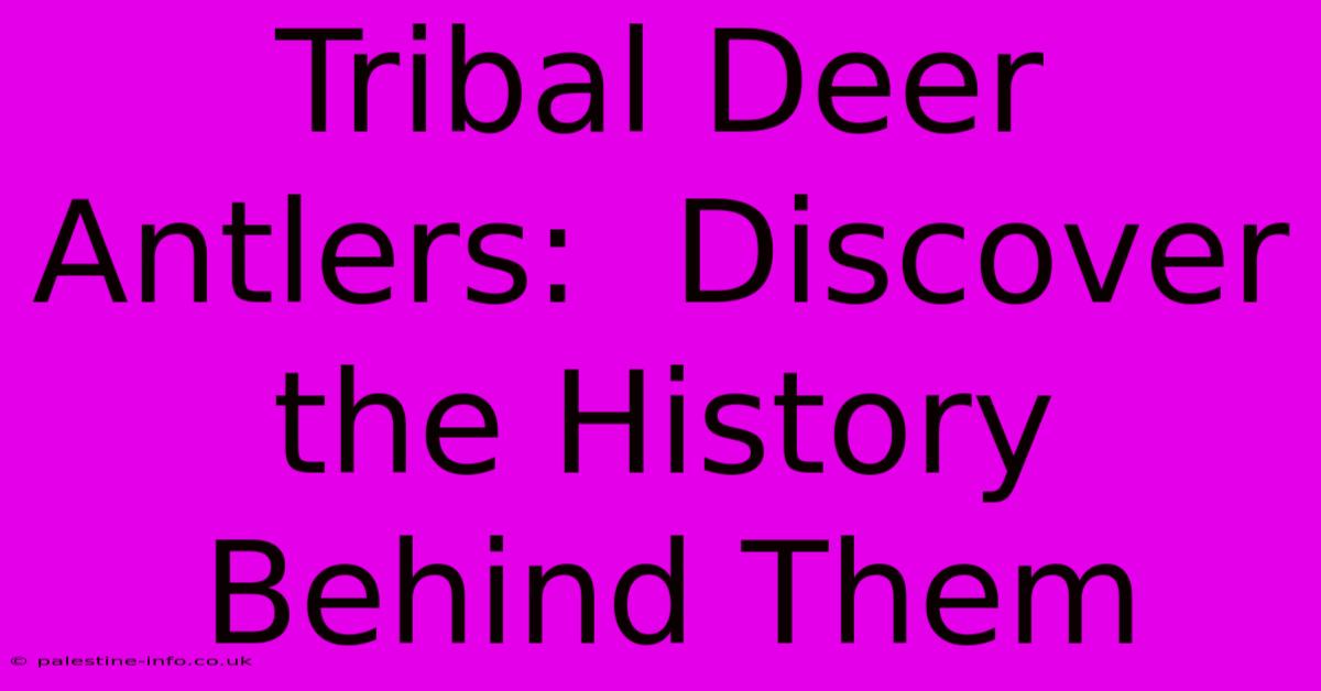 Tribal Deer Antlers:  Discover The History Behind Them