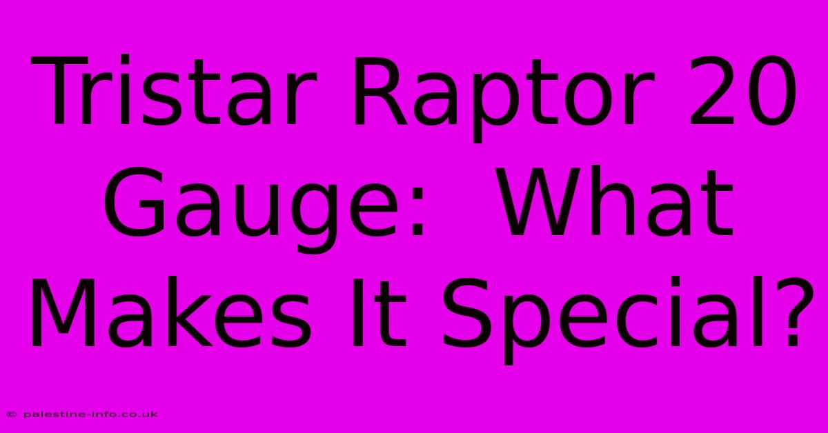 Tristar Raptor 20 Gauge:  What Makes It Special?