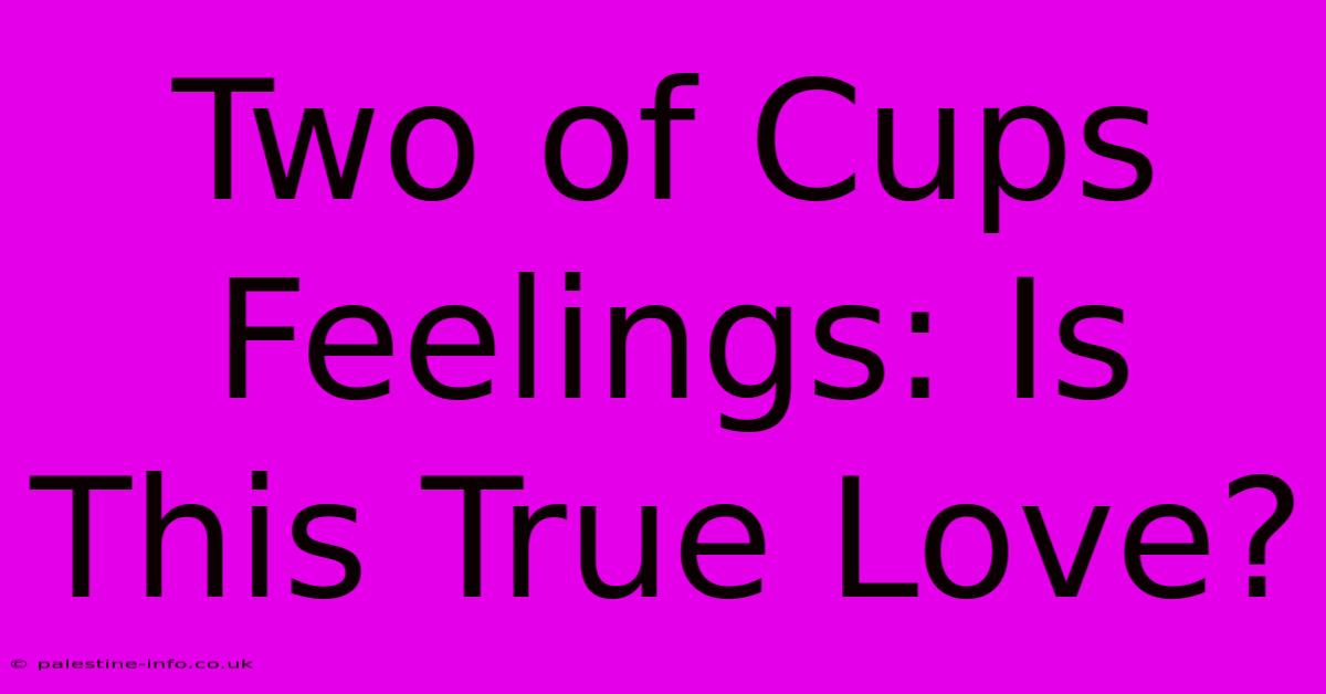 Two Of Cups Feelings: Is This True Love?