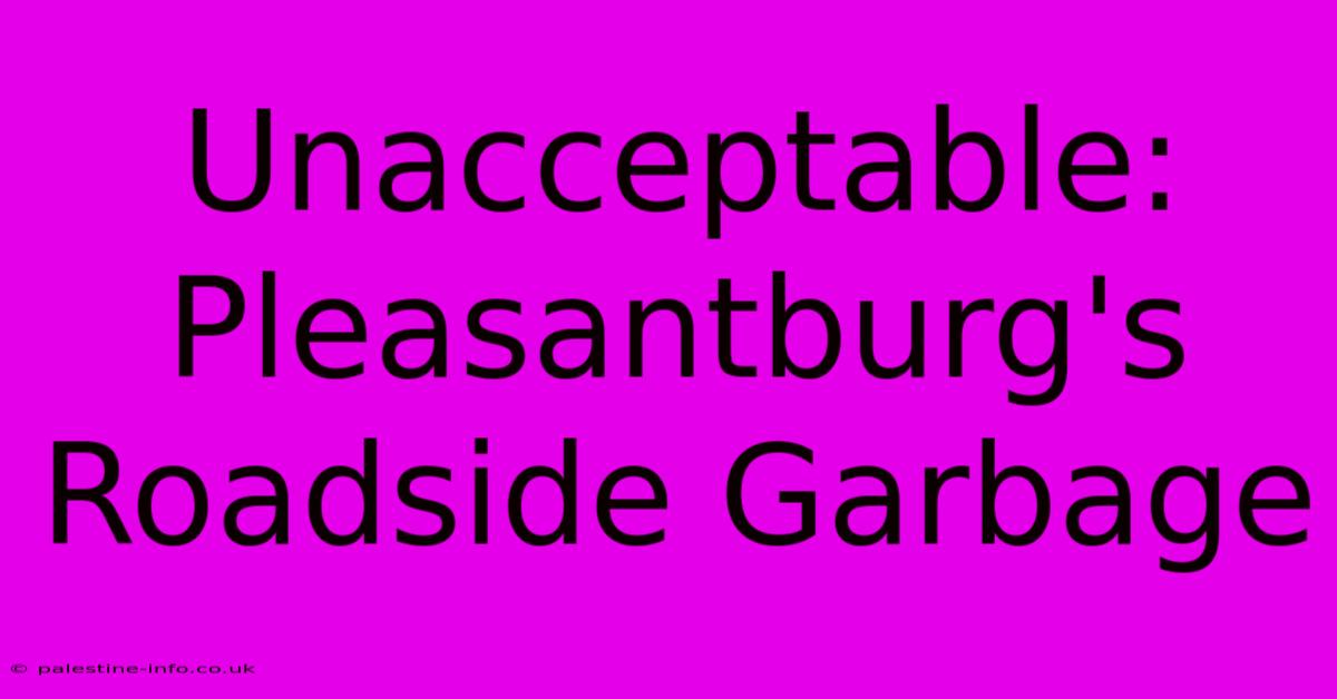 Unacceptable: Pleasantburg's Roadside Garbage