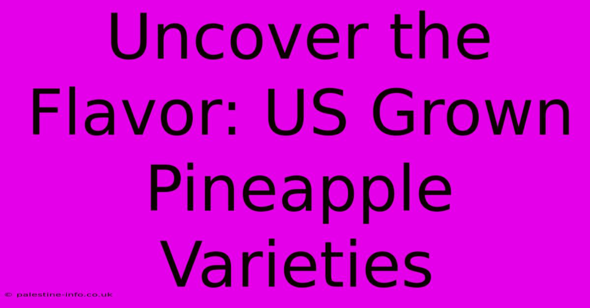 Uncover The Flavor: US Grown Pineapple Varieties