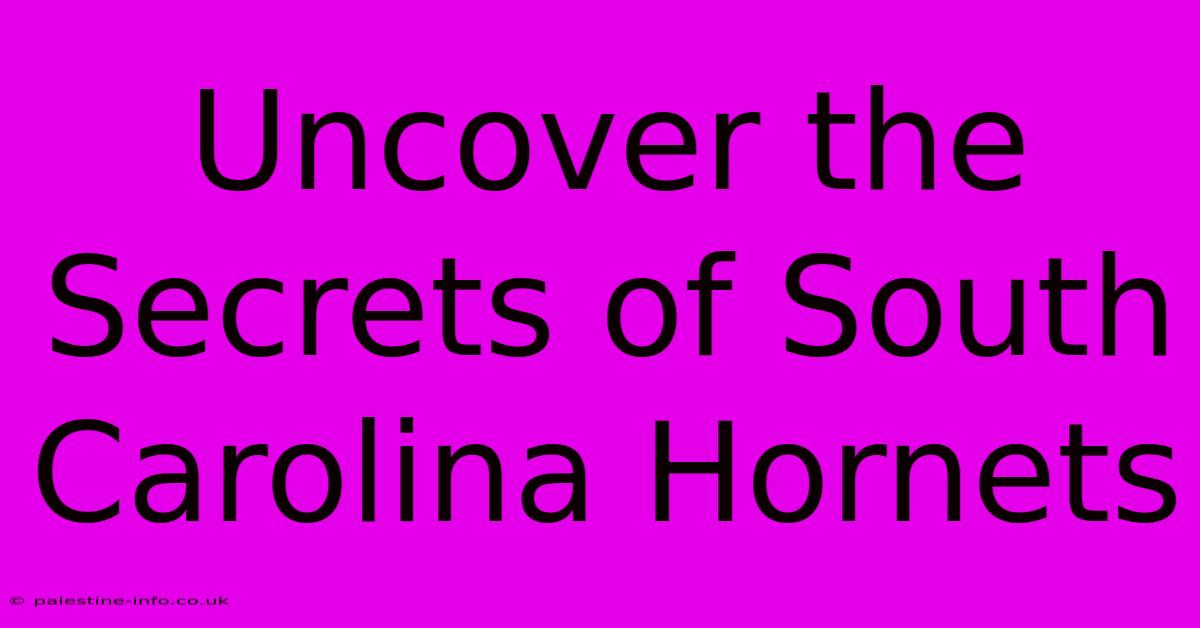 Uncover The Secrets Of South Carolina Hornets