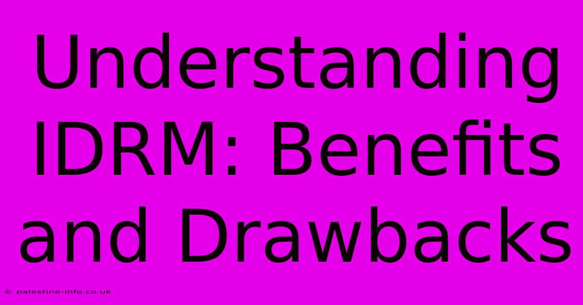 Understanding IDRM: Benefits And Drawbacks