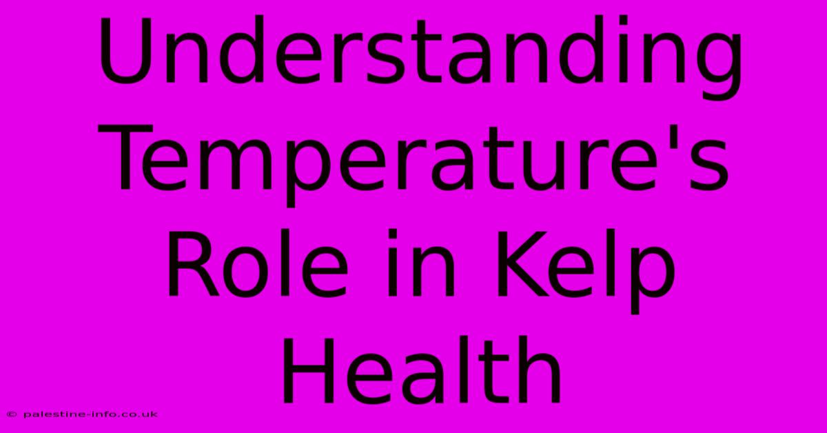 Understanding Temperature's Role In Kelp Health