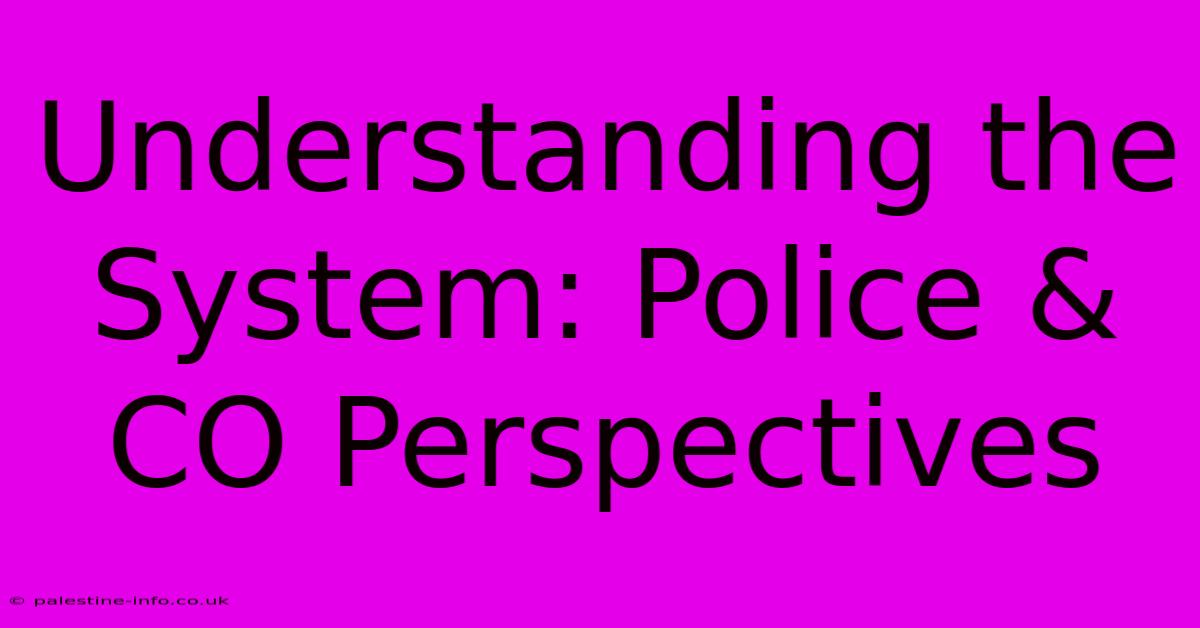 Understanding The System: Police & CO Perspectives