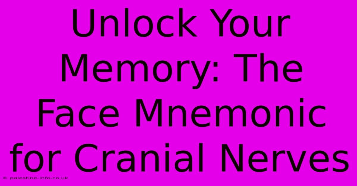 Unlock Your Memory: The Face Mnemonic For Cranial Nerves