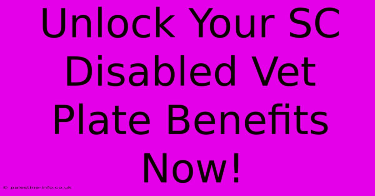 Unlock Your SC Disabled Vet Plate Benefits Now!